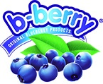 logo_b_berry